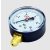Manometr 10 bar IBO radialny